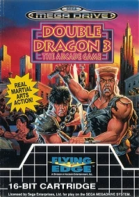 Double Dragon 3: The Arcade Game