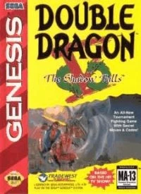 Double Dragon V: The Shadow Falls