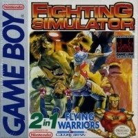 Fighting Simulator 2 in 1