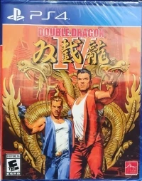 Double Dragon IV