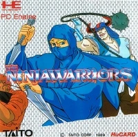 Ninja Warriors, The