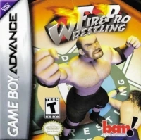 Fire Pro Wrestling