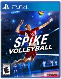 Spike Volleyball