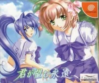 Kimi ga Nozomu Eien - Limited Edition