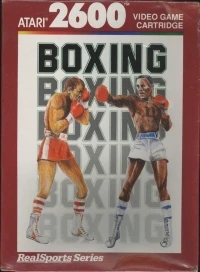 RealSports Boxing