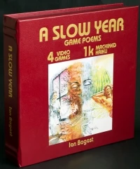 Slow Year, A