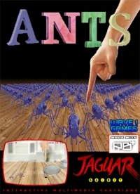 Ants