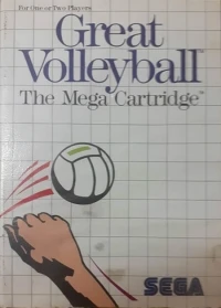 Great Volleyball