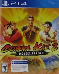 Cobra Kai 2: Dojos Rising