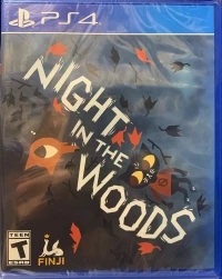 Night in the Woods