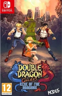 Double Dragon Gaiden: Rise of the Dragons