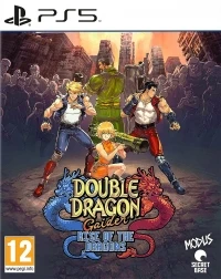 Double Dragon Gaiden: Rise of the Dragons