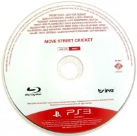 Move Street Cricket (Not for Resale)