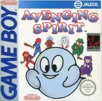 Avenging Spirit