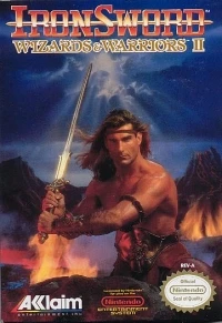 Ironsword: Wizards & Warriors II