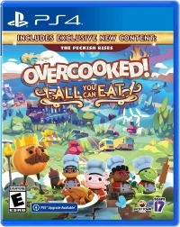Overcooked! All You Can Eat