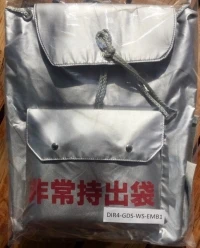 Disaster Report 4: Summer Memories - Limited Edition