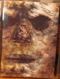 Army of Darkness (Necronomicom box)