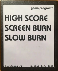High Score Screen Burn Slow Burn (white label)