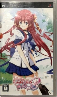 Final Approach 2: 1st Priority Portable